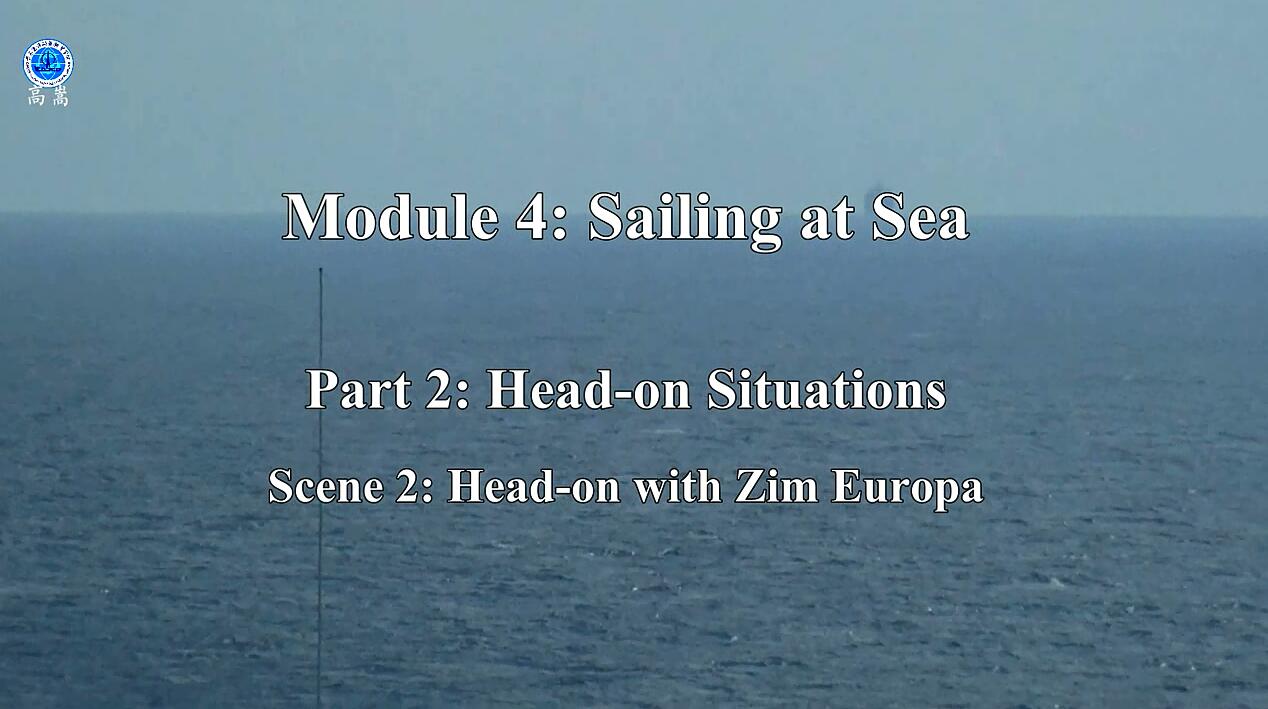 Europa. Head-on with Zim Europa 对遇以星 